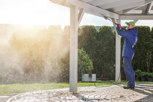 Best Roof Cleaning and Mildew Removal in Braham, MN